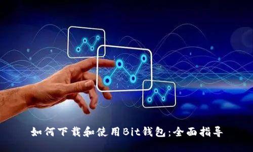 如何下载和使用Bit钱包：全面指导