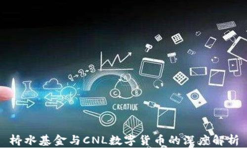 
桥水基金与CNL数字货币的深度解析