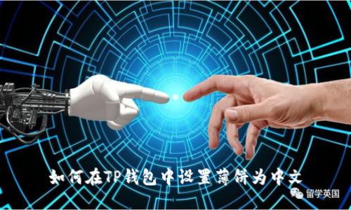 如何在TP钱包中设置薄饼为中文