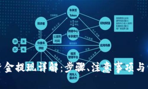 TP钱包资金提现详解：步骤、注意事项与常见问题