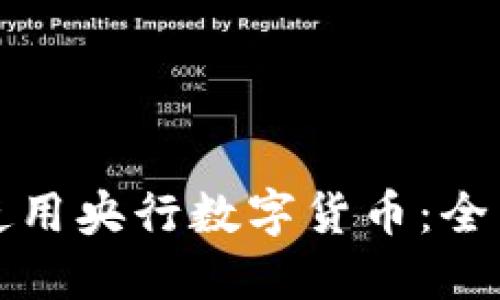 如何使用央行数字货币：全面指南