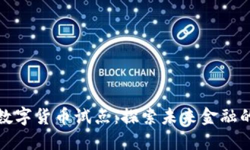 拉卡拉数字货币试点：探索未来金融的新方向