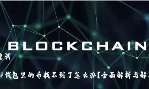 与关键词

转到TP钱包里的币找不到了怎么办？全面解析与解决方案