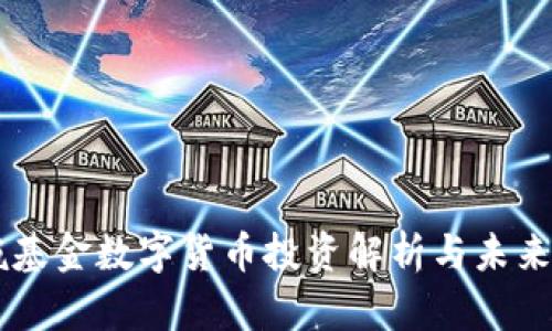 高瓴基金数字货币投资解析与未来展望