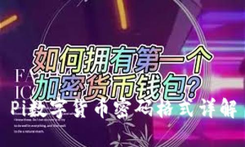 Pi数字货币密码格式详解