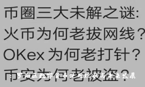 : 罗湖区数字货币使用现状与未来发展