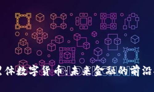 宁黑体数字货币：未来金融的前沿探索