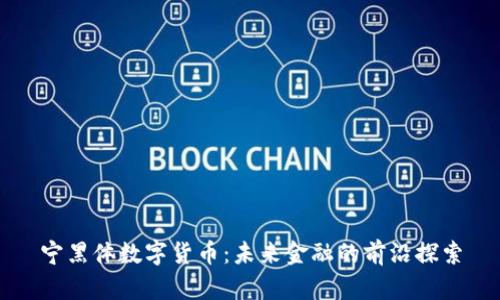 宁黑体数字货币：未来金融的前沿探索