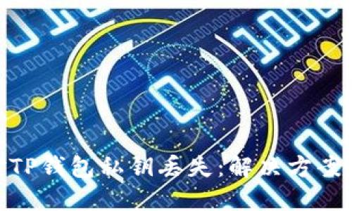 : 如何应对TP钱包私钥丢失：解决方案与预防措施