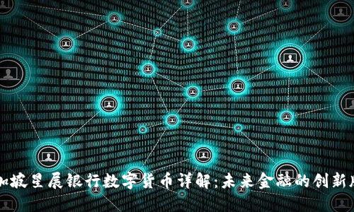 新加坡星展银行数字货币详解：未来金融的创新版图