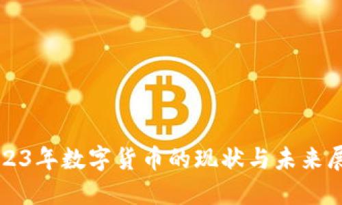2023年数字货币的现状与未来展望