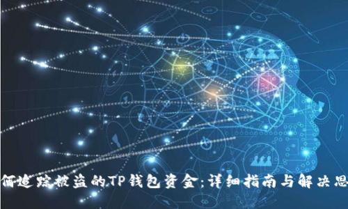 如何追踪被盗的TP钱包资金：详细指南与解决思路