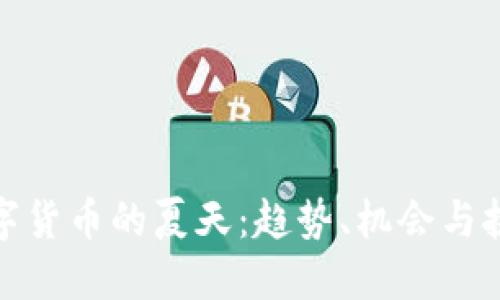 数字货币的夏天：趋势、机会与挑战