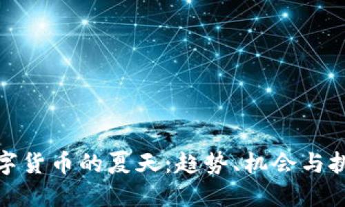 数字货币的夏天：趋势、机会与挑战