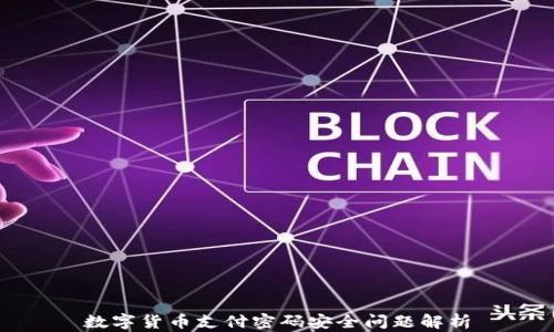 
数字货币支付密码安全问题解析
