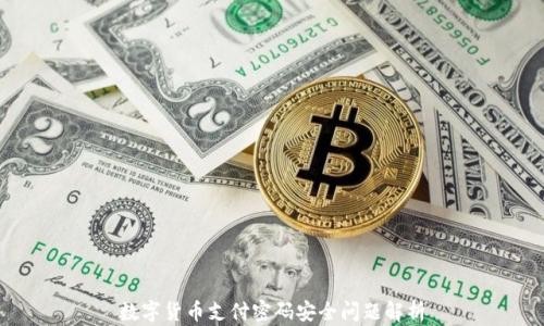 
数字货币支付密码安全问题解析