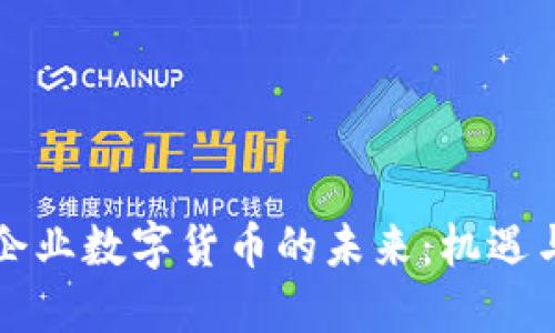 私营企业数字货币的未来：机遇与挑战