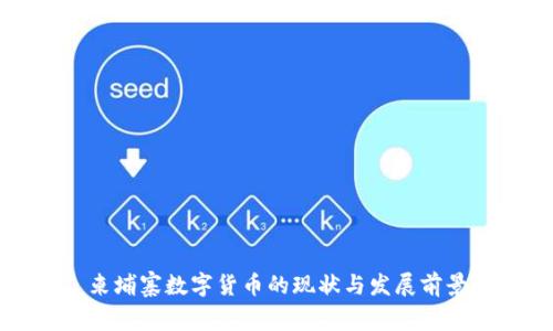 柬埔寨数字货币的现状与发展前景