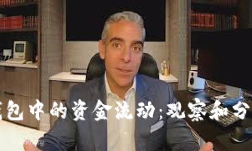 如何有效监控TP钱包中的资金流动：观察和分析钱包地址的方法