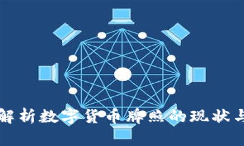 深入解析数字货币牌照的现状与未来