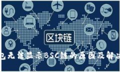 TP钱包无法显示BSC链的原因及解决方案