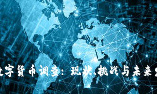 : 数字货币调查: 现状、挑战与未来发展