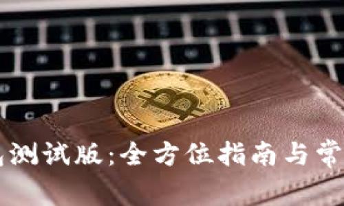 以太坊钱包测试版：全方位指南与常见问题解析
