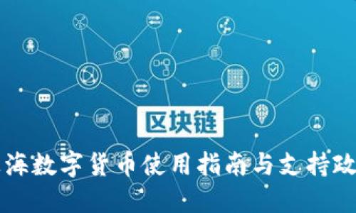 上海数字货币使用指南与支持政策