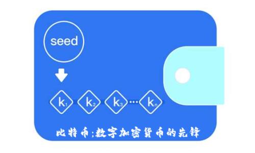 比特币：数字加密货币的先锋