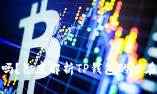 TP钱包会归零吗？彻底解析TP钱包的潜在风险与安全性