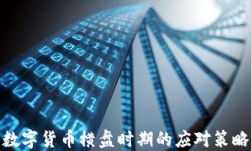 
数字货币横盘时期的应对策略