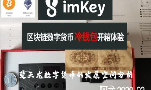 楚天龙数字货币的发展空间分析