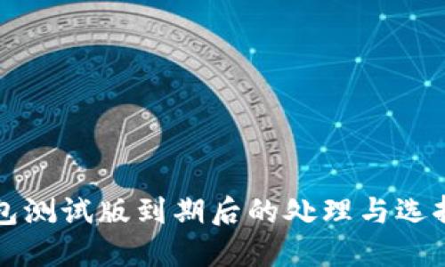 TP钱包测试版到期后的处理与选择指南