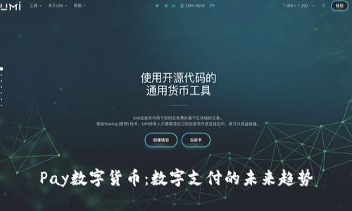 Pay数字货币：数字支付的未来趋势