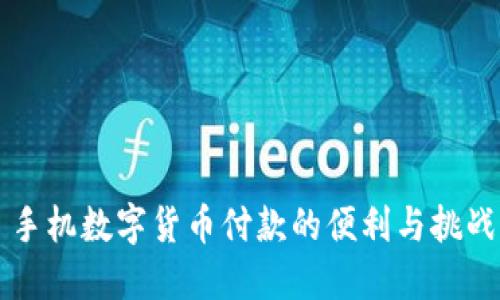 手机数字货币付款的便利与挑战