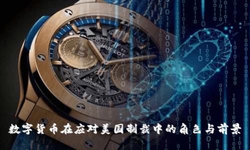 数字货币在应对美国制裁中的角色与前景