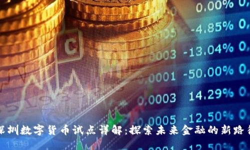 深圳数字货币试点详解：探索未来金融的新路径