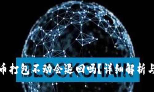 TP钱包转币打包不动会退回吗？详细解析与解决方案