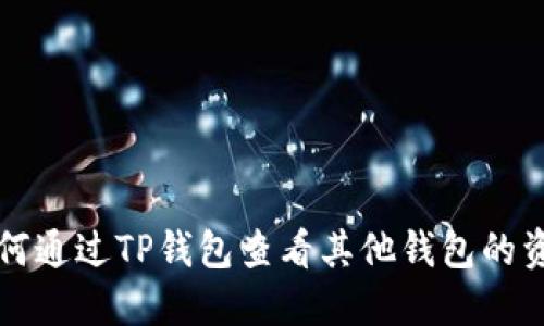如何通过TP钱包查看其他钱包的资产