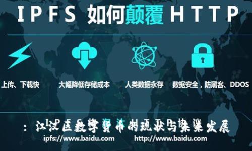 : 江汉区数字货币的现状与未来发展