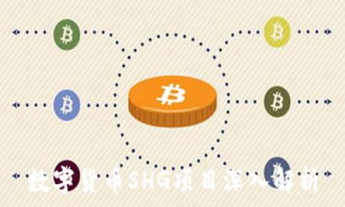  
数字货币SHG项目深入解析