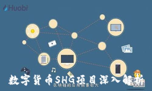  
数字货币SHG项目深入解析