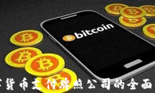 
数字货币支付牌照公司的全面解析