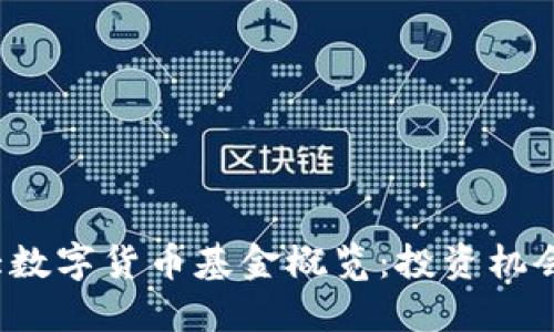 2023年最大数字货币基金概览：投资机会与市场展望