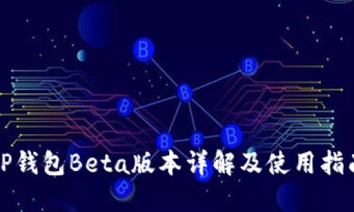 TP钱包Beta版本详解及使用指南