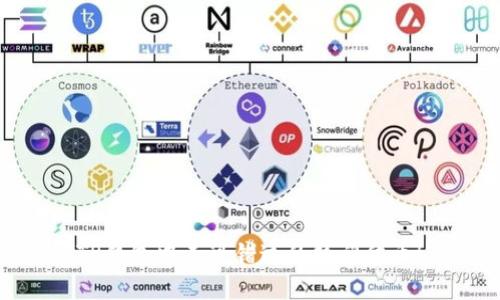 TP钱包中不可错过的热门代币！