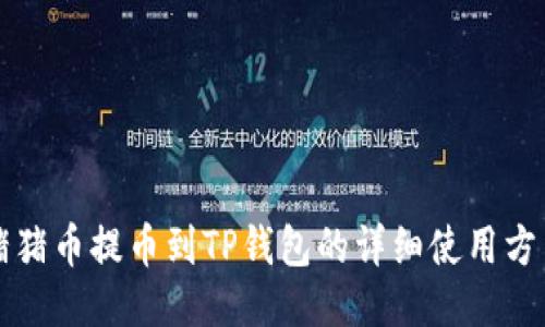 猪猪币提币到TP钱包的详细使用方法