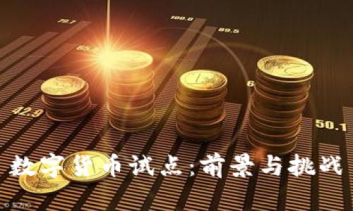 数字货币试点：前景与挑战