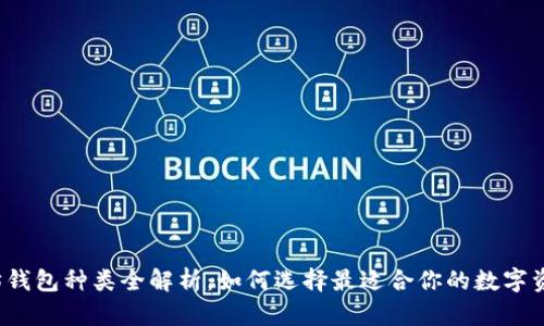 : 以太坊钱包种类全解析：如何选择最适合你的数字资产存储！