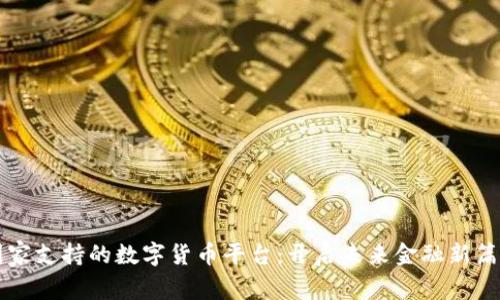 国家支持的数字货币平台：开启未来金融新篇章